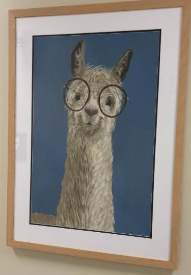 Llama Specs III, Image 1.