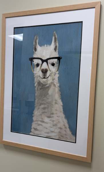 Llama Specs II 