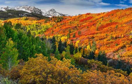 Of Land and Sky by Tim Reaves 