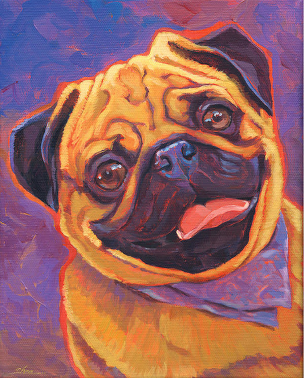 Party Pug by Shawn Shea 