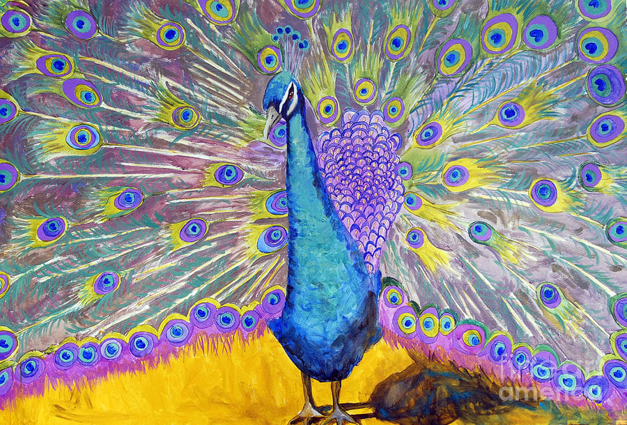 Peacock Dance by Miriam Schulman 