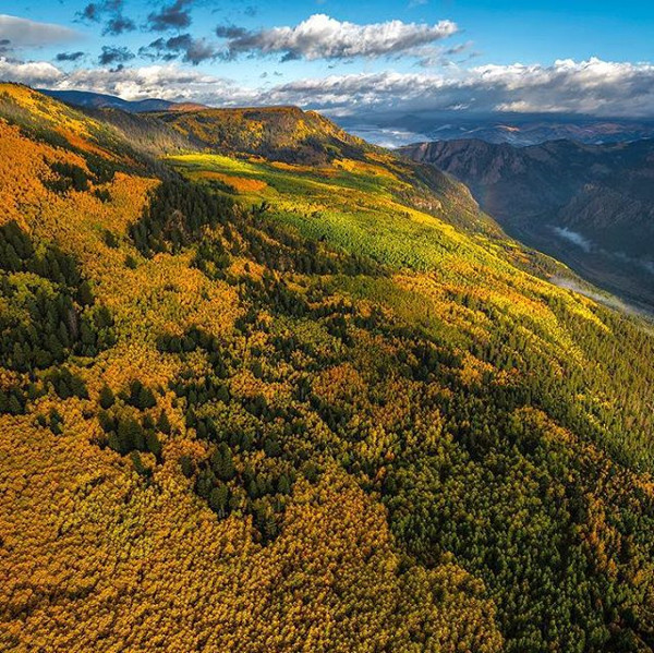 Rio Grande Aspens by Chris Dahl-Bredine 