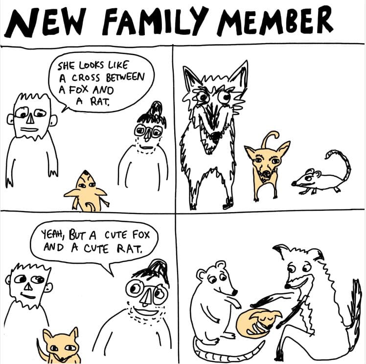 New Family Member by Will Betke-Brunswick, Image 1.