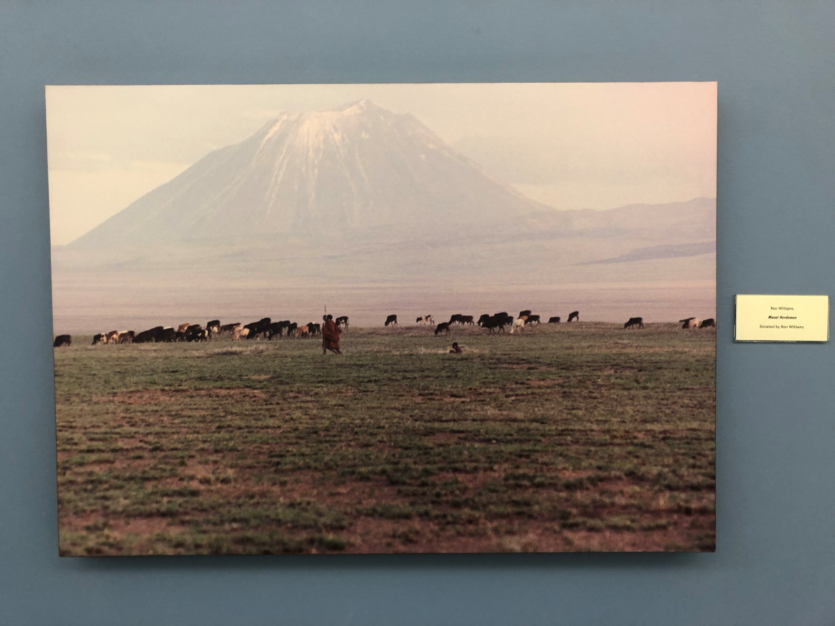 Masai Herdsmen by Ron Williams 