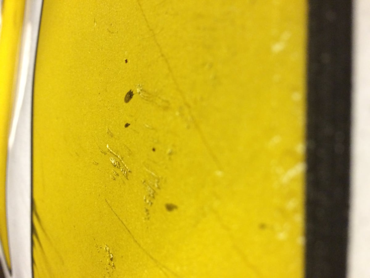 Gelb Series 1 1/3 by MB, Image 3.