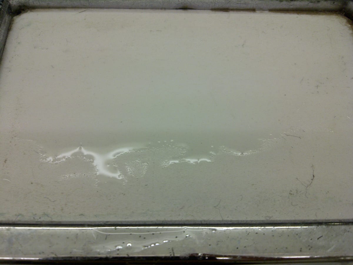 181D - Untitled by Martim Brion 