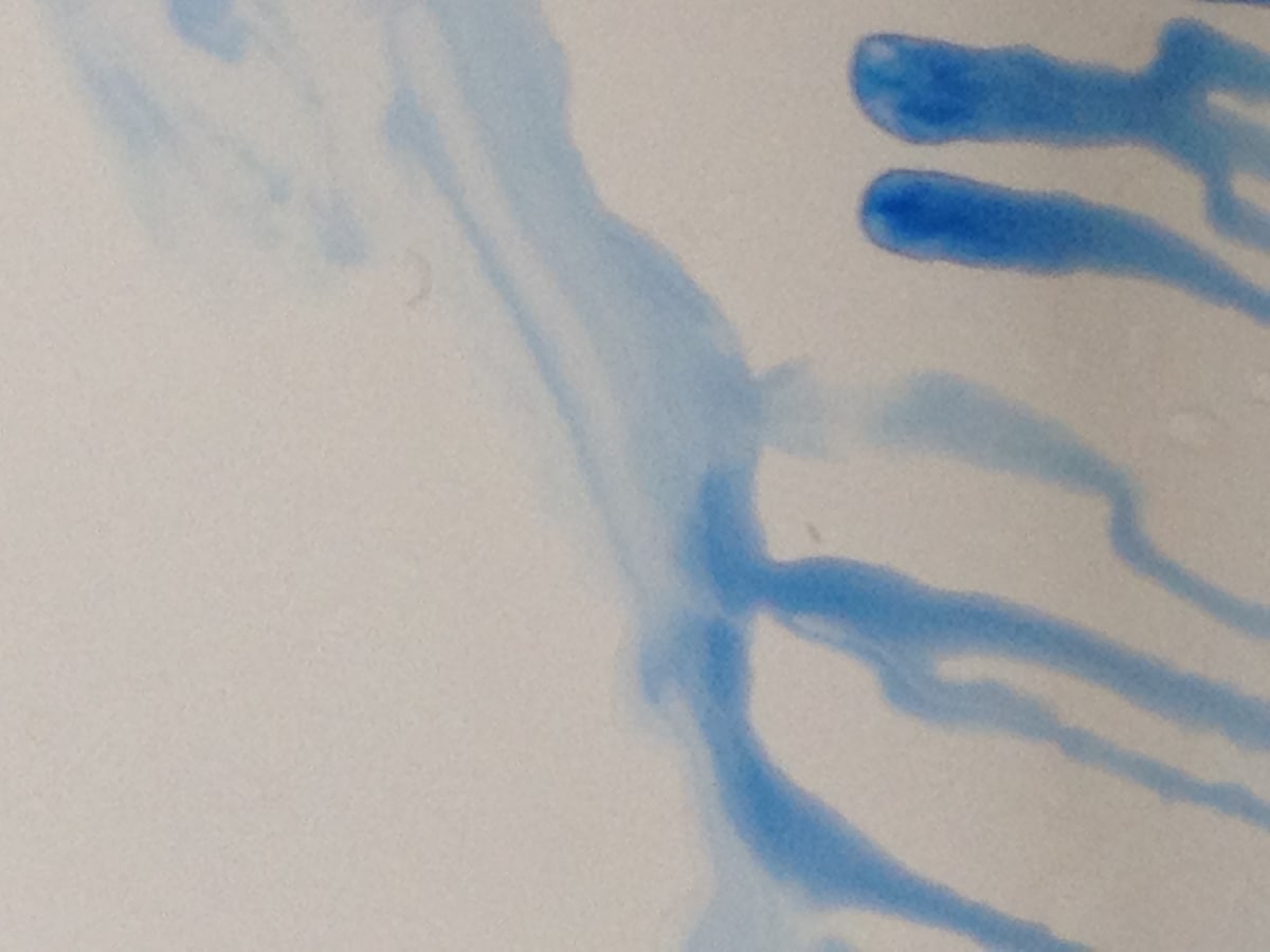 351D - Facilities Series by Martim Brion 