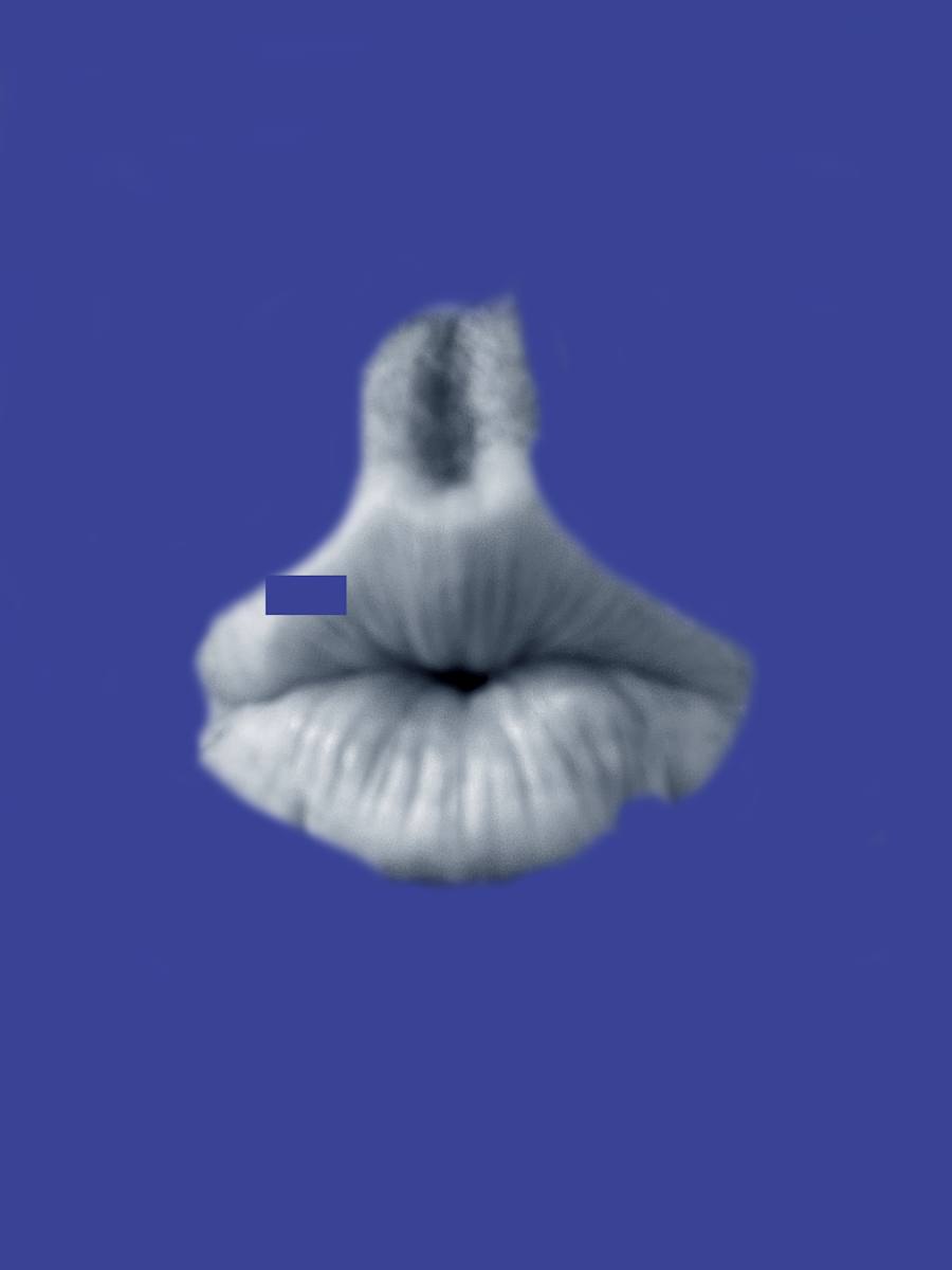 W125 - Beyond the Pale 10 1/3 by MB, Image 2.