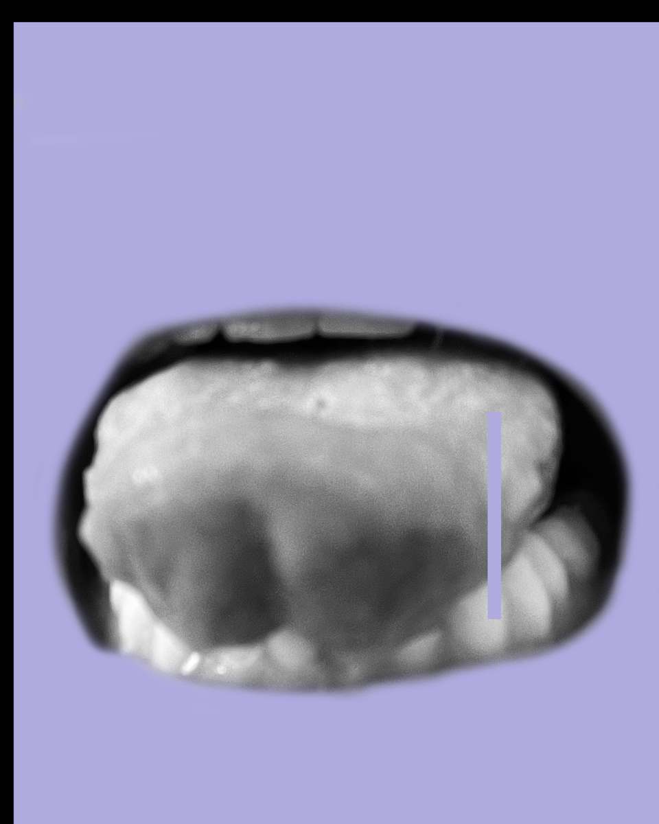 W130 - Beyond the Pale 15 1/3 by MB, Image 1.