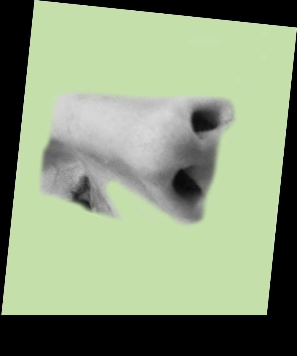 W131 - Beyond the Pale 16 1/3 by MB, Image 2.