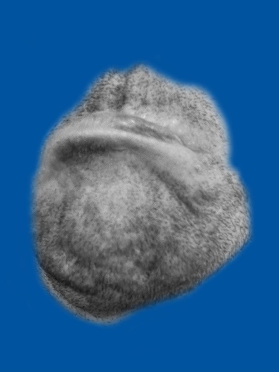 W134 - Beyond the Pale 19 1/3 by MB, Image 1.