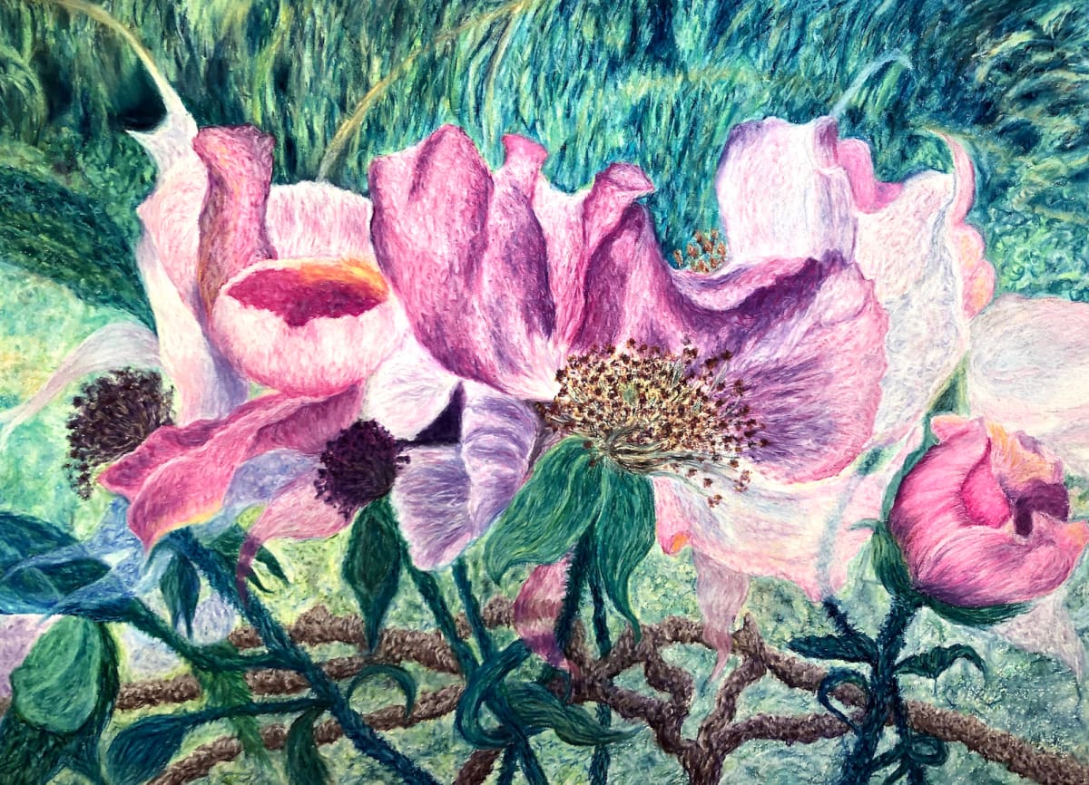 Harmony, Image 1.