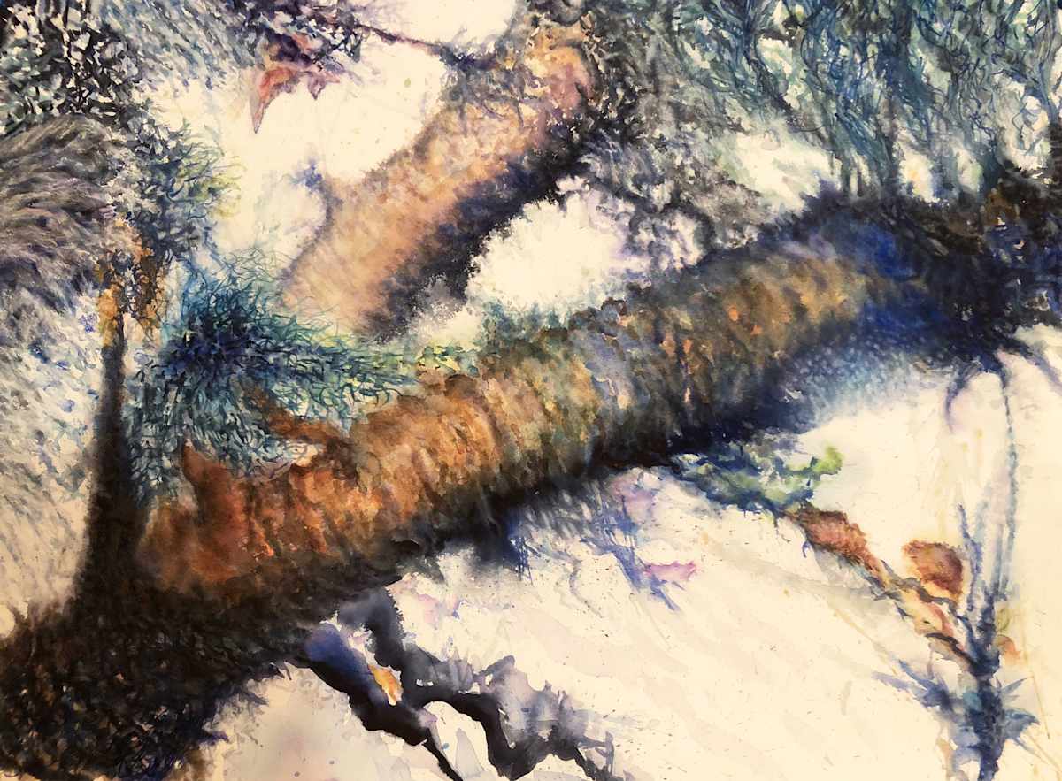 split by Charlene Moy, Image 1.