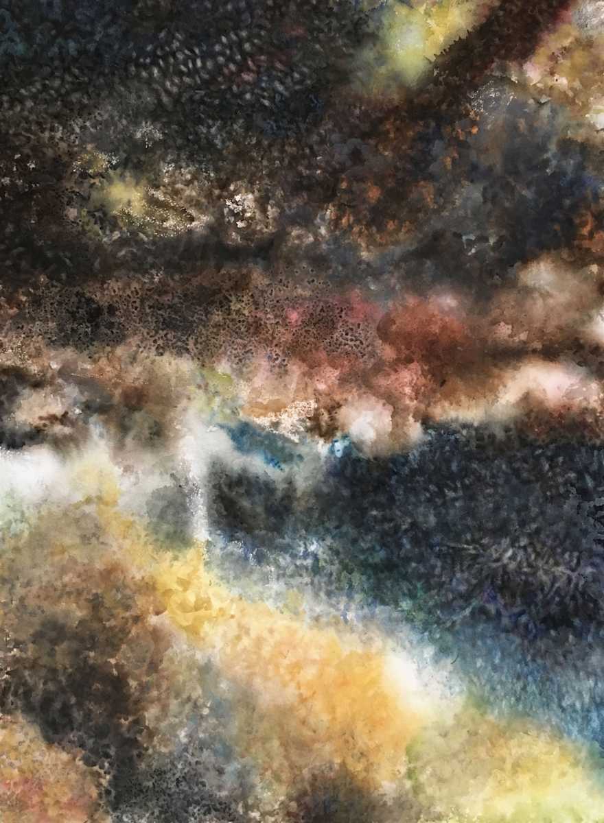 Upside Crawl by Charlene Moy, Image 1.