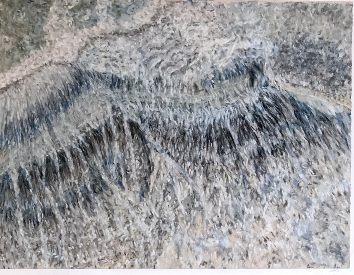 Fleeting by Charlene Moy 