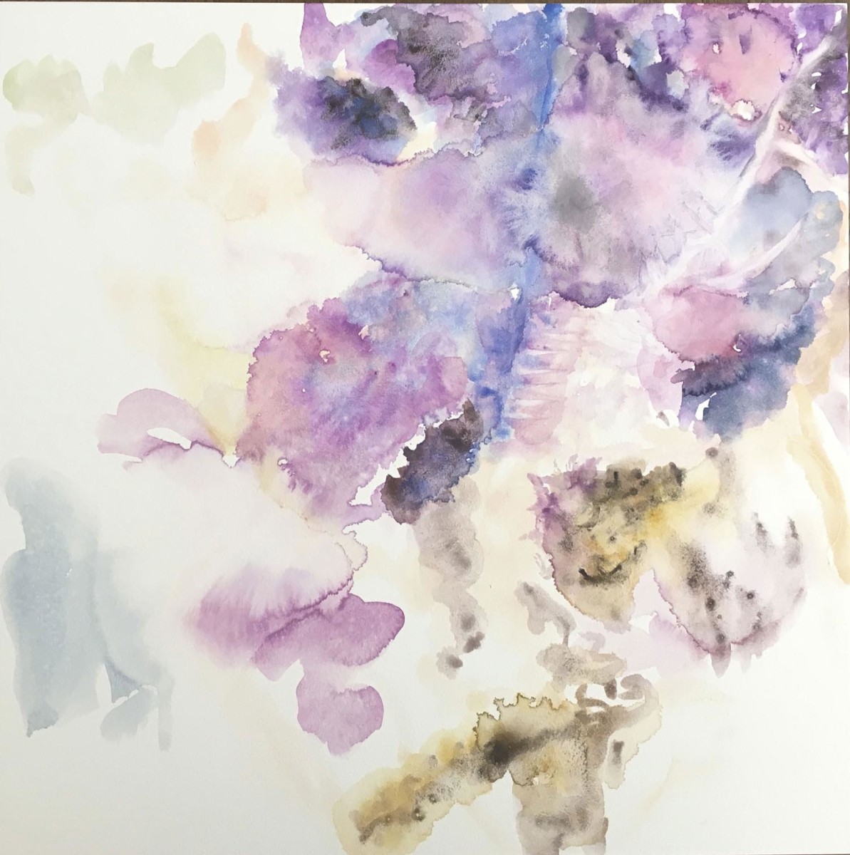 Hover by Charlene Moy 