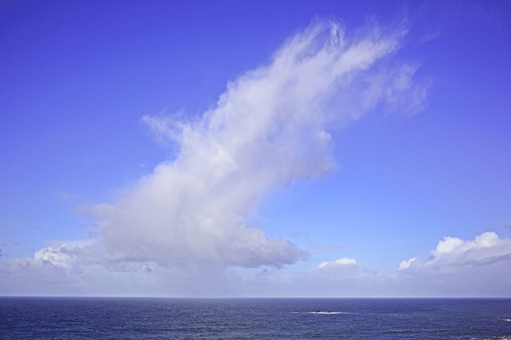 OCEAN CLOUD by Tom Yglesias 