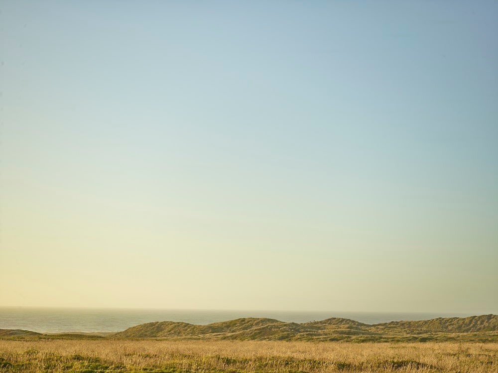 OCEAN AND SEA GRASS by Tom Yglesias 