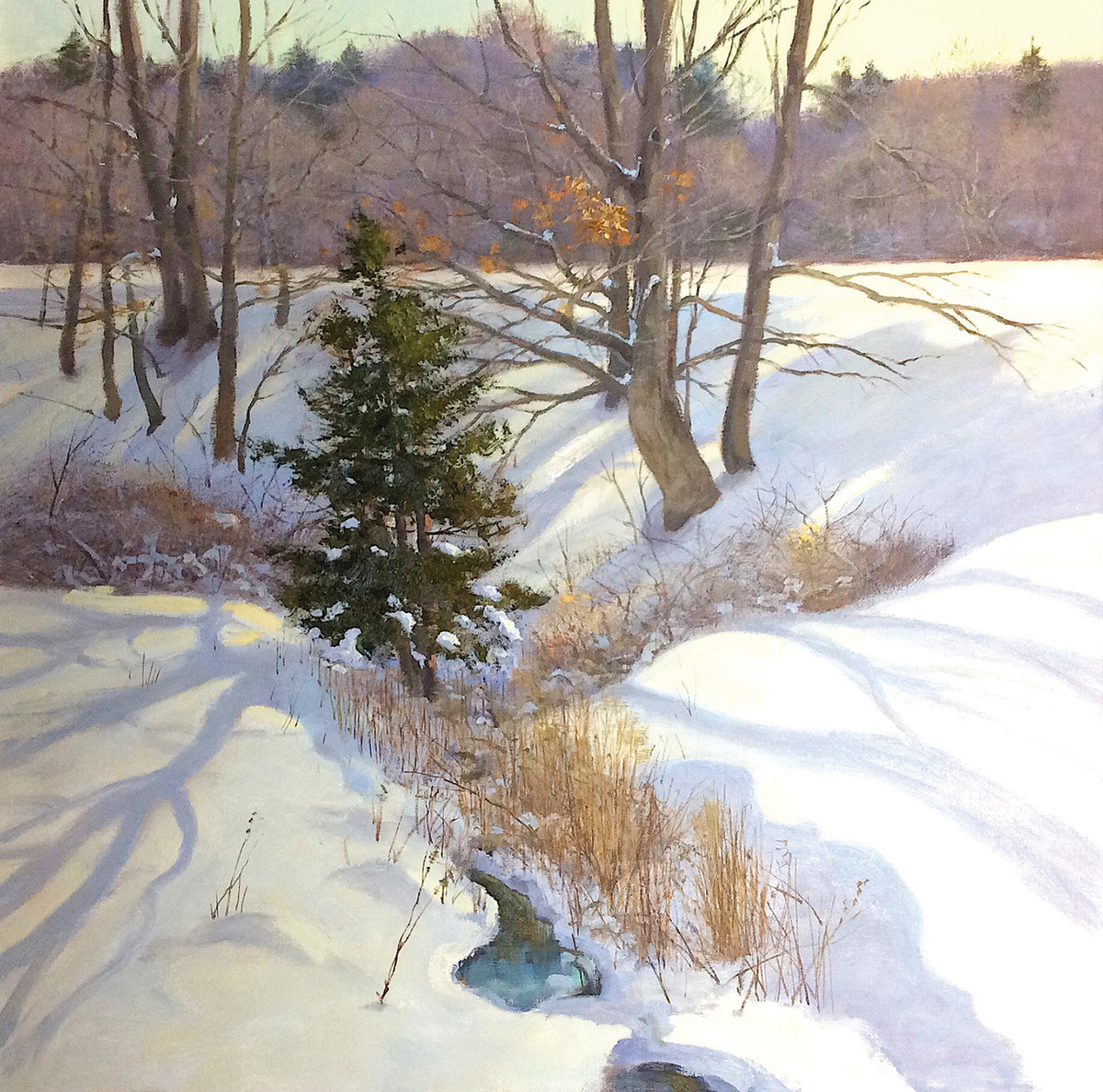 Winter Cedar by Thomas Adkins 
