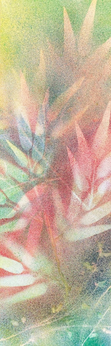 Calm Reigns by Linda Robertson, Image 3.