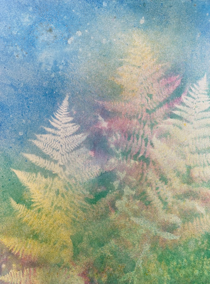 A Multitude of Stars by Linda Robertson 