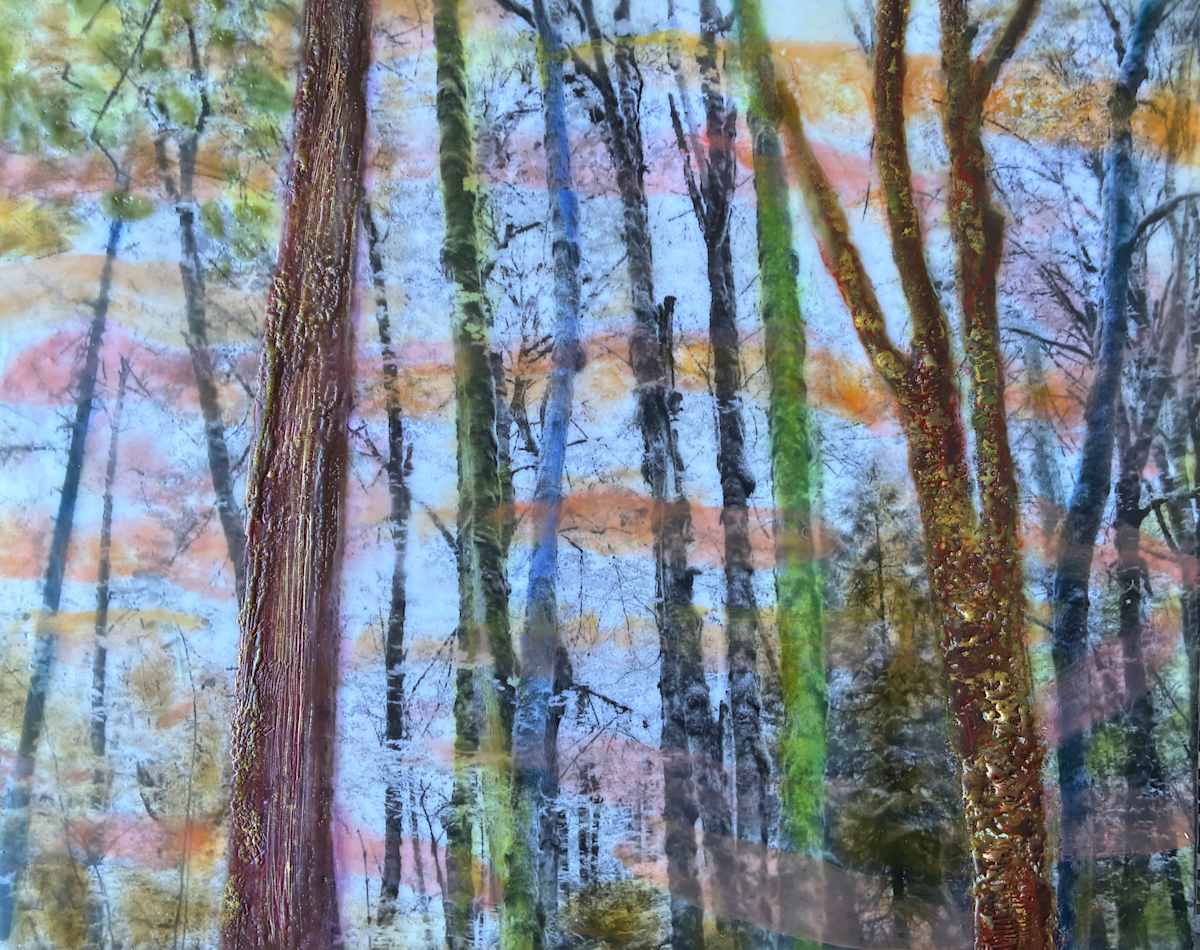 Bring Only Silence by Linda Robertson, Image 1.