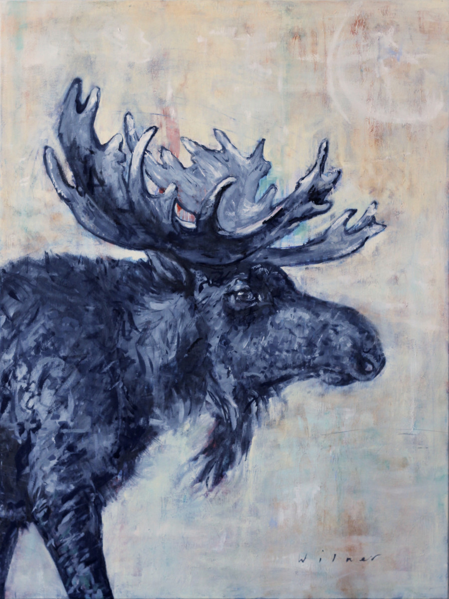 Moose by Amanda Wilner 