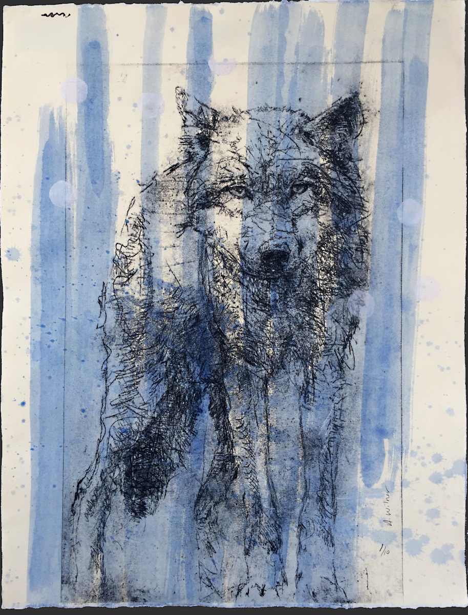 Home by Amanda Wilner, Image 1.