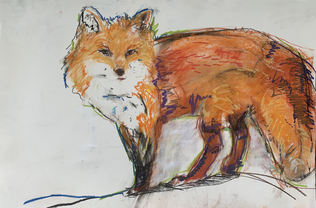 Looking for a Challenge by Amanda Wilner 