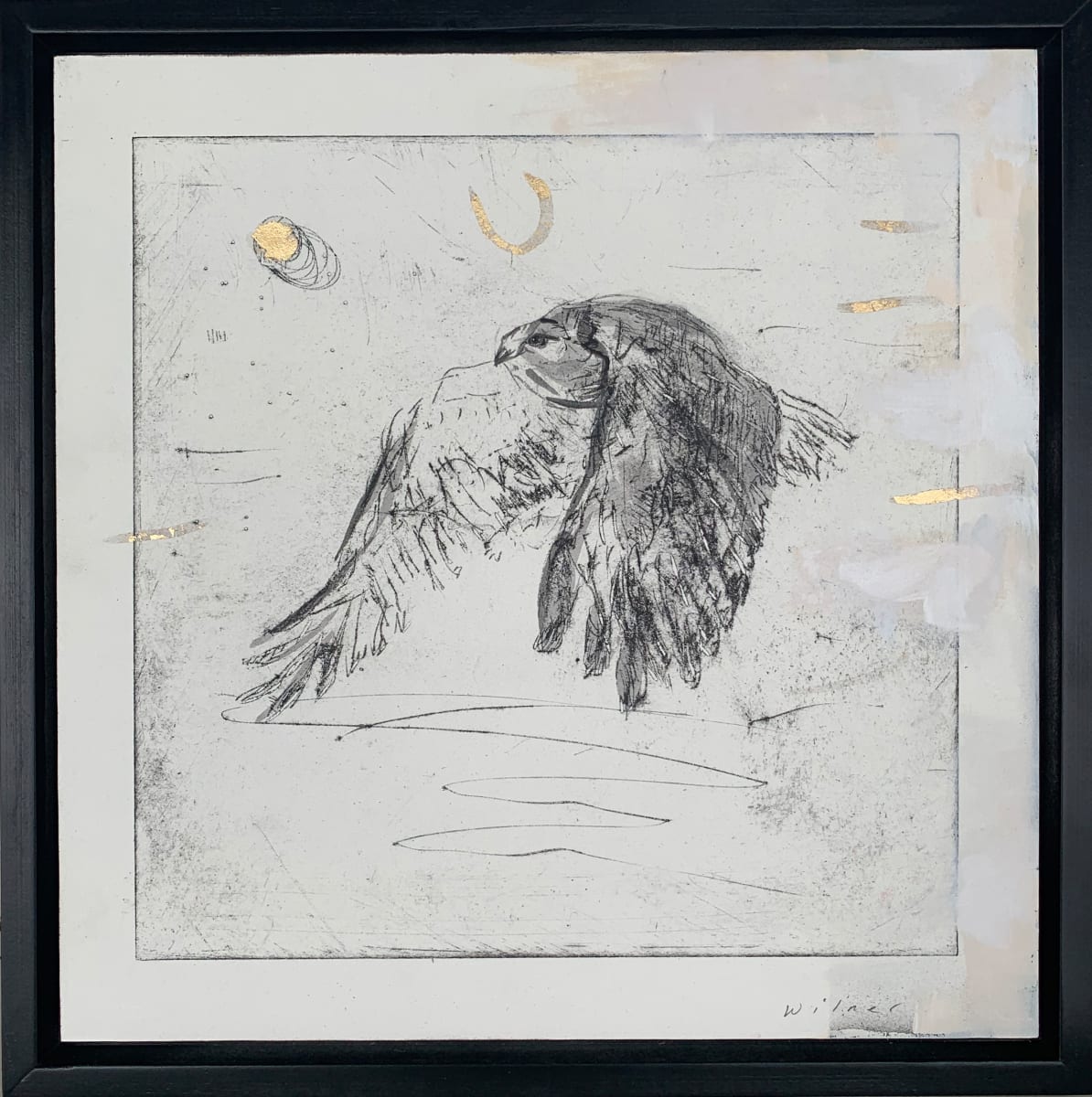 Fast Forward by Amanda Wilner 