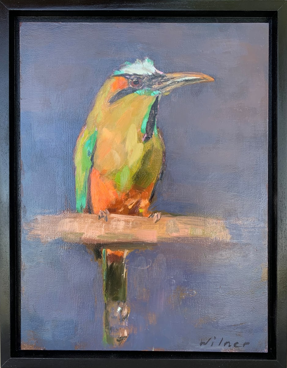 Torquoise Browed Motmot $900 