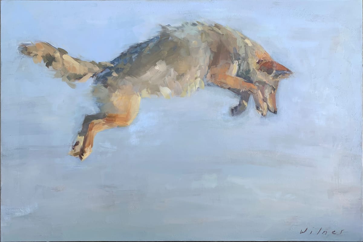 Flying Coyote, Image 1.
