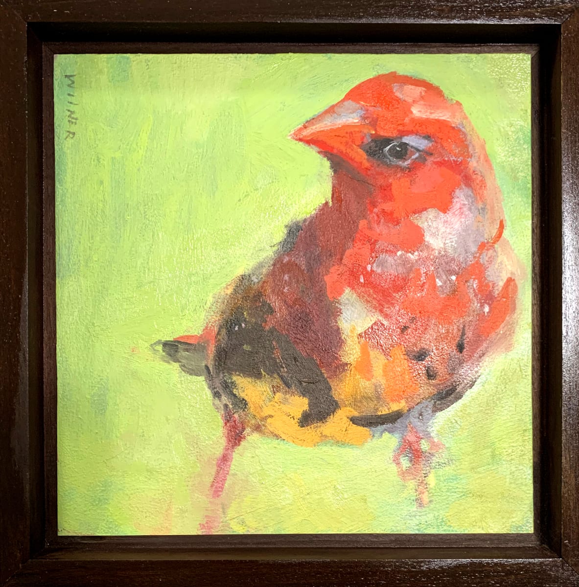Angry Bird is A OK by Amanda Wilner, Image 1.