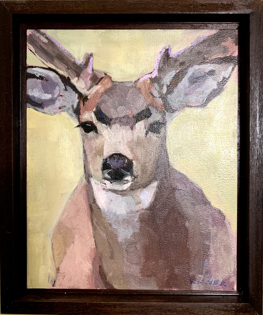 Mule Deer by Amanda Wilner 