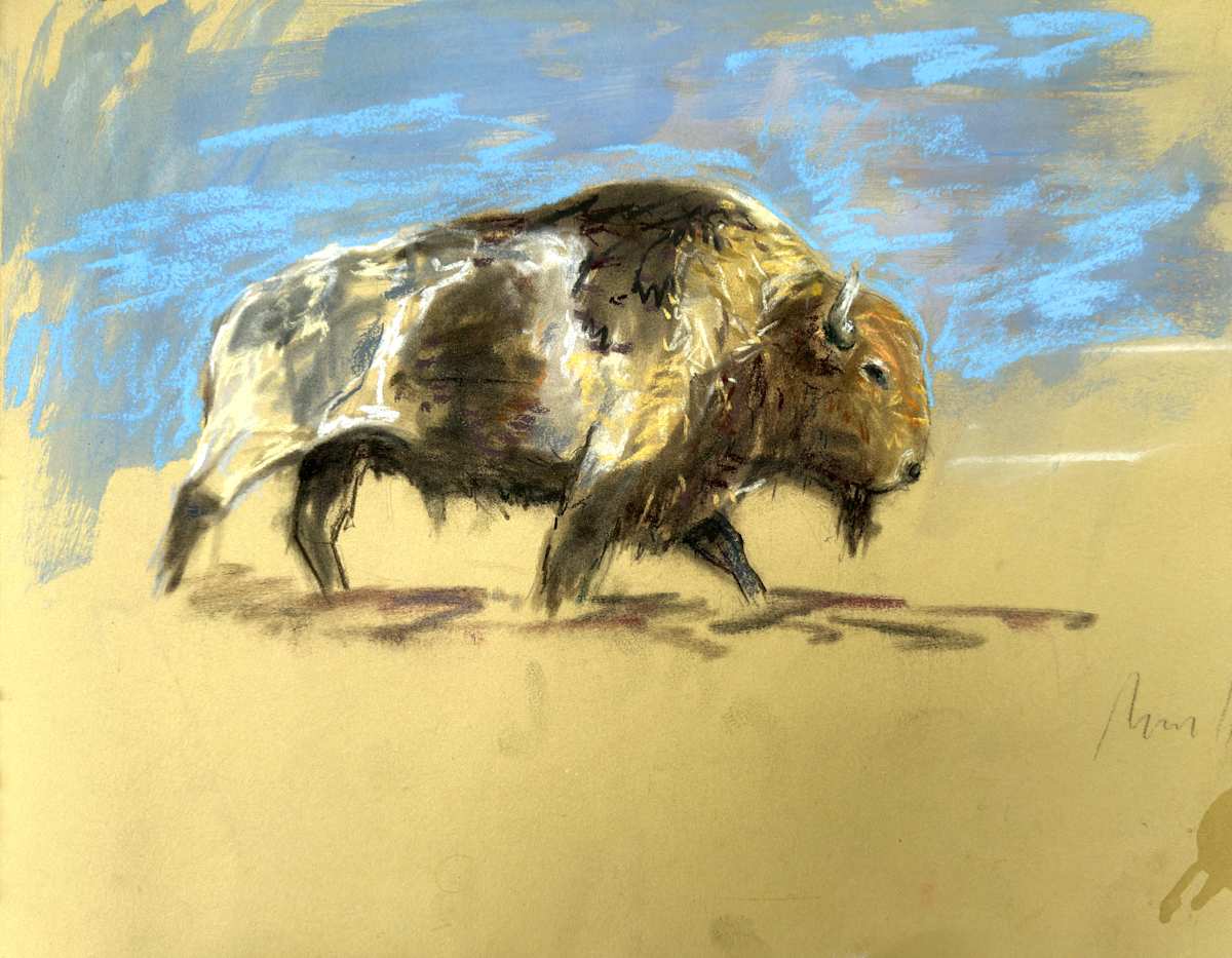 1202 by Amanda Wilner 