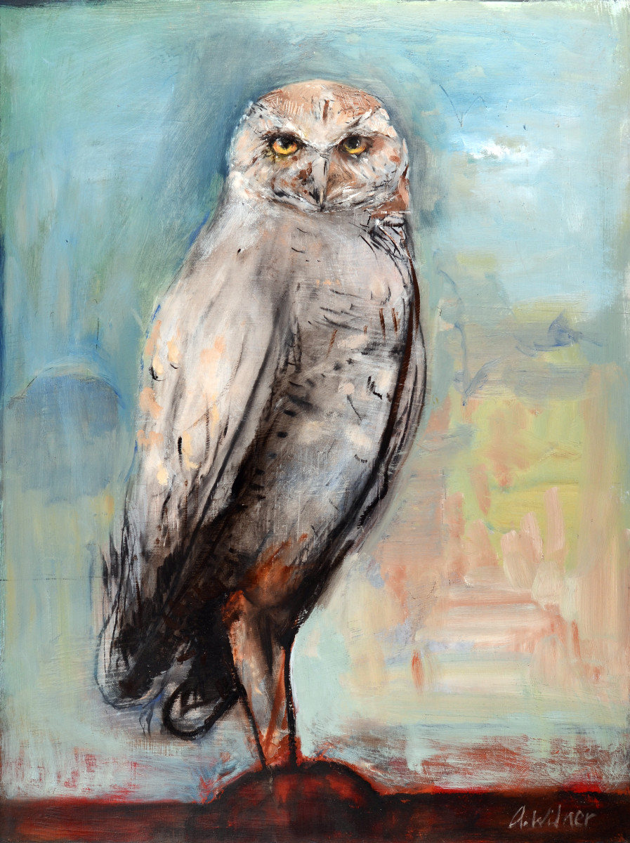 Athena by Amanda Wilner 