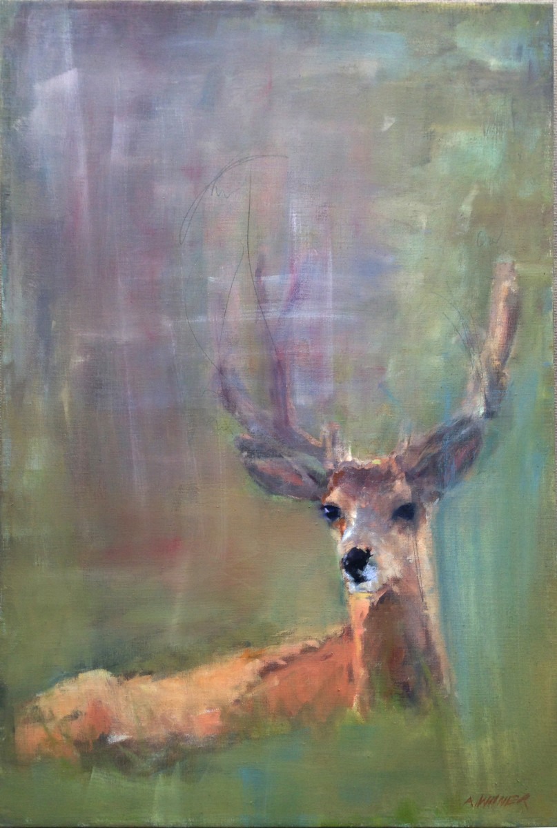 Muley by Amanda Wilner 