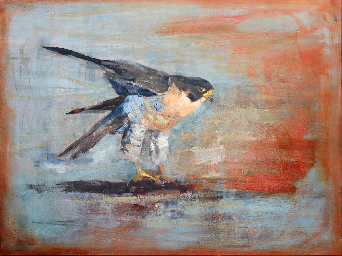 Peregrine by Amanda Wilner 