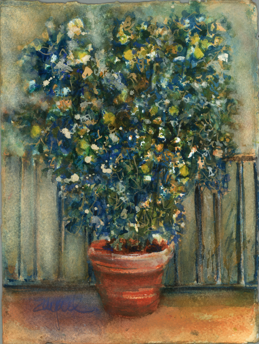 Lemon Tree ~ San Fedele by Rebecca Zdybel, Image 1.