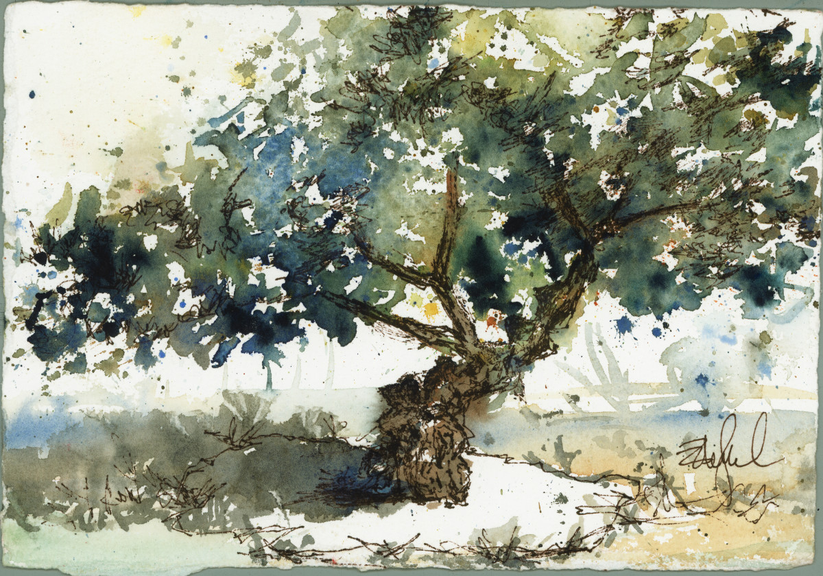 Mastic Tree Study ~ Chios by Rebecca Zdybel 