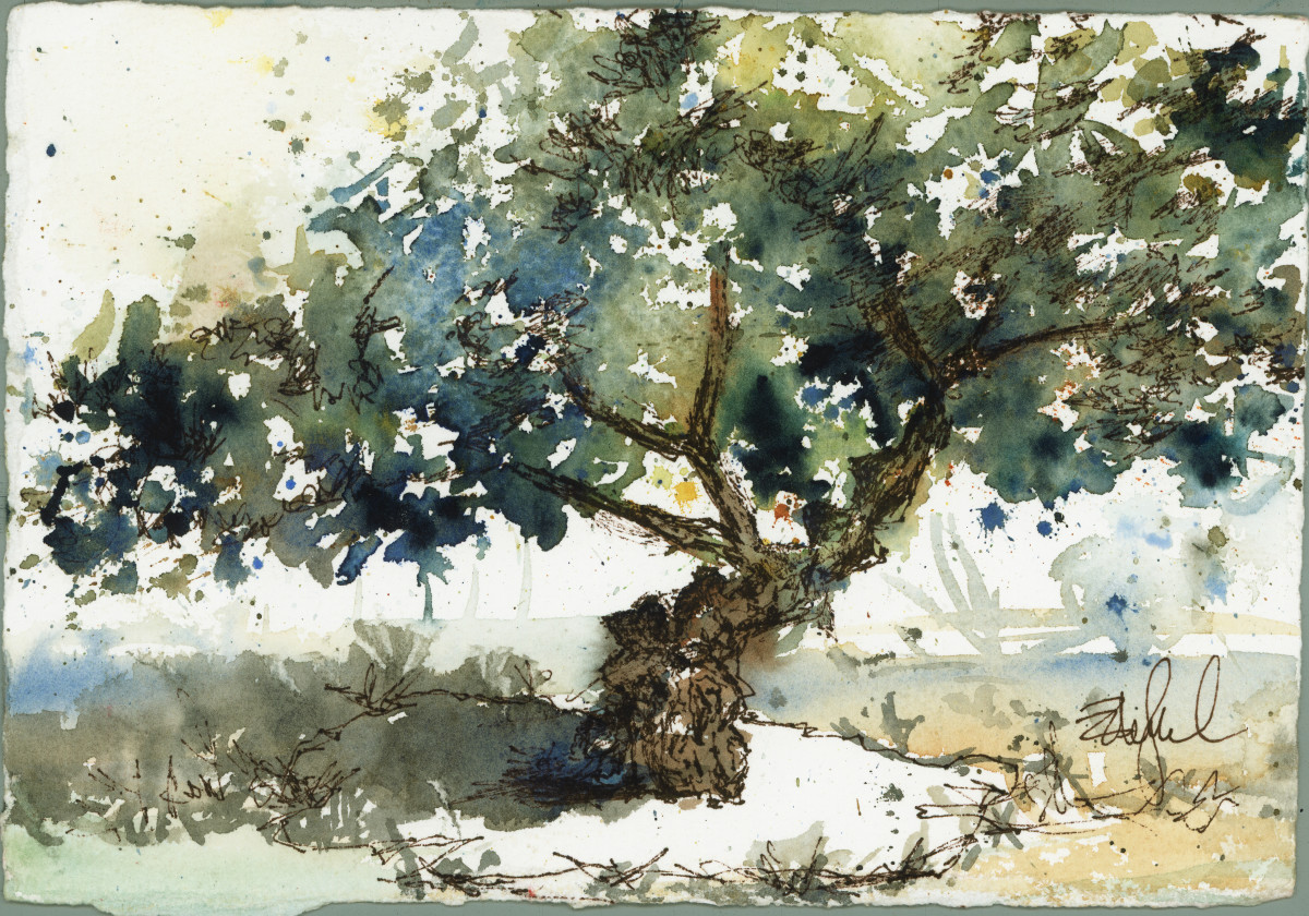 Mastic Tree Study ~ Chios by Rebecca Zdybel, Image 1.