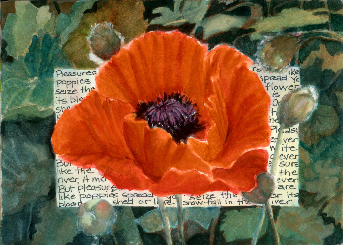 Pleasures are Like Poppies by Rebecca Zdybel 