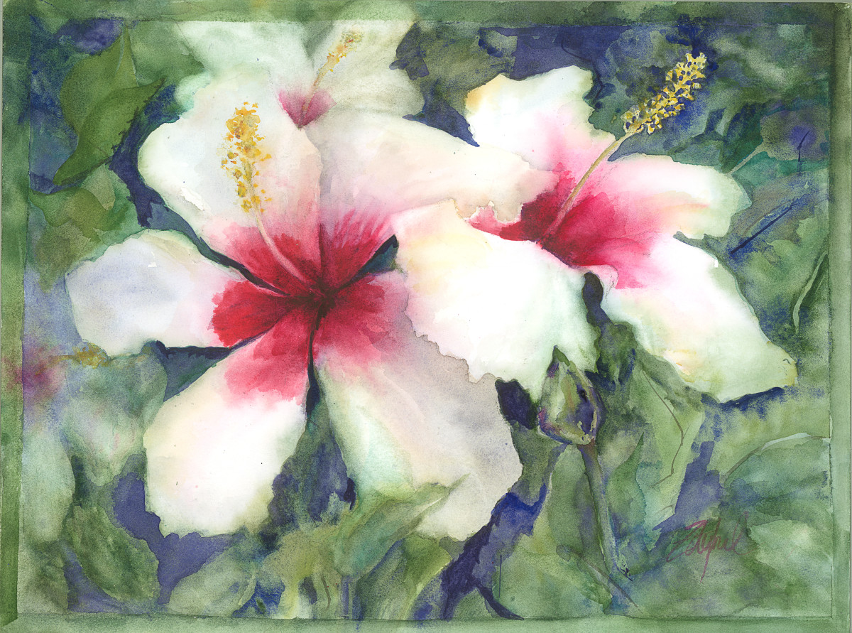 White Hibiscus by Rebecca Zdybel 