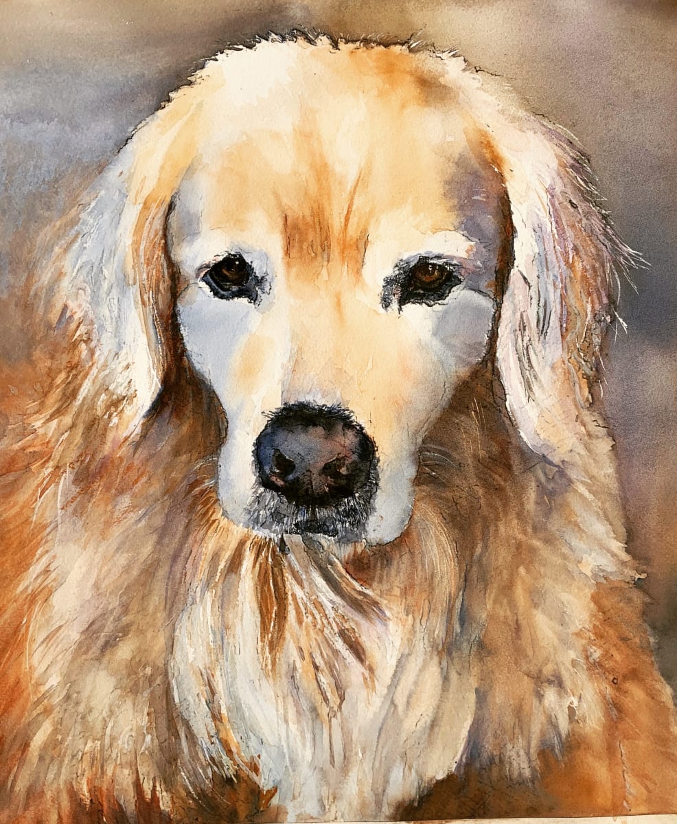 Pet Commission, Image 1.