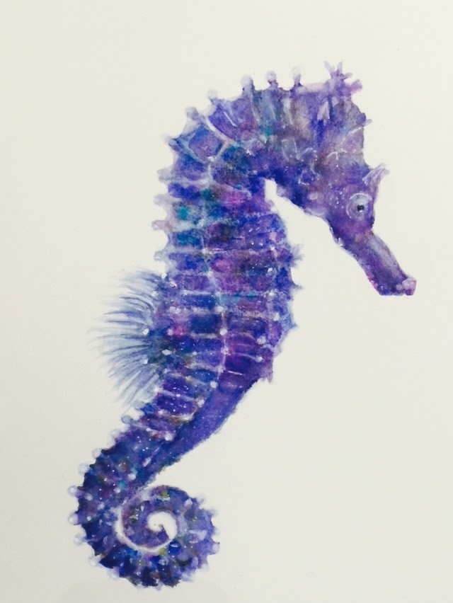 Violet Seahorse by Rebecca Zdybel 