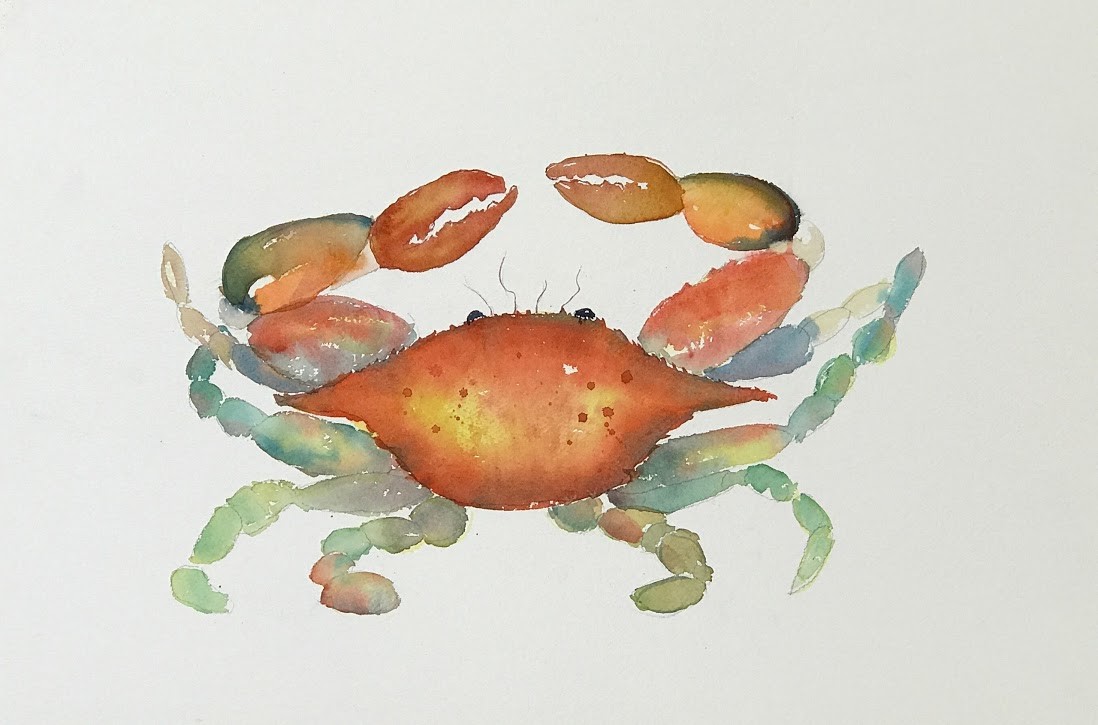 Orange Crab by Rebecca Zdybel 