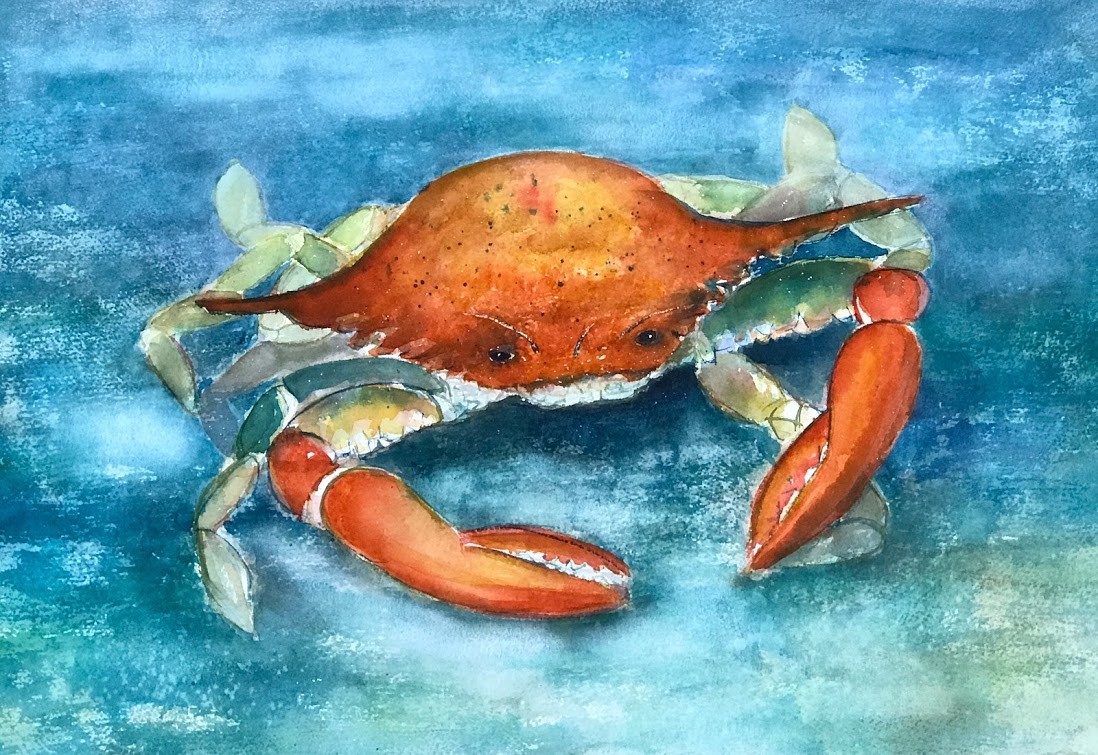 Orange Crab on Turquoise by Rebecca Zdybel 