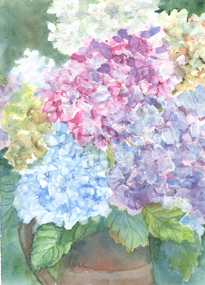 Hydrangeas by Rebecca Zdybel, Image 1.