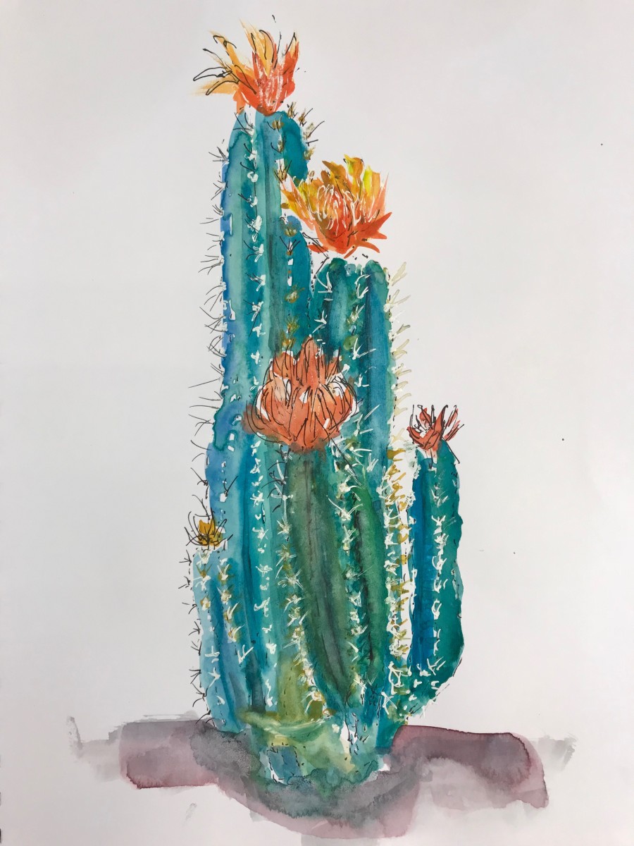 Cactus Study by Rebecca Zdybel 