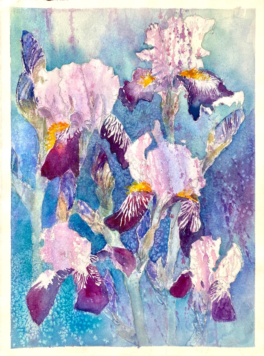 Wild Iris, Image 7.